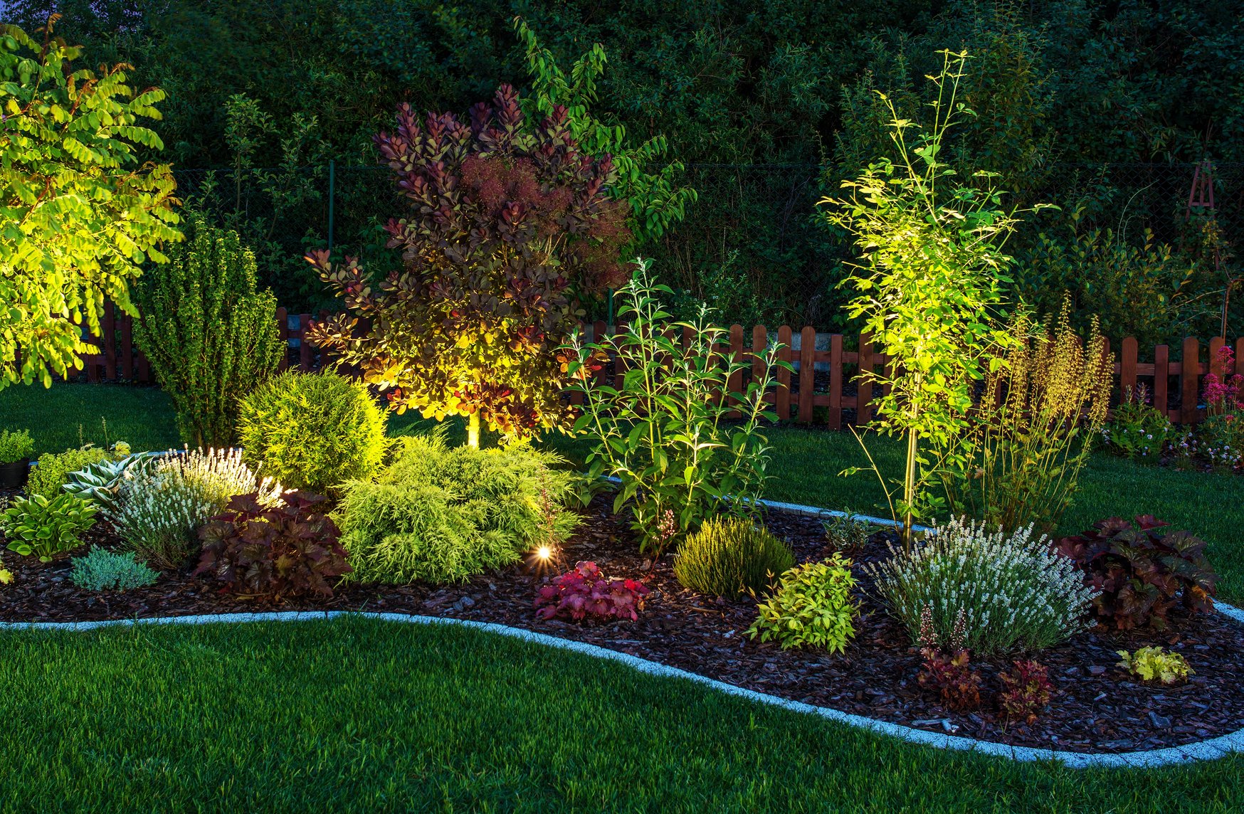 lighted-landscape1